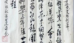 庆祝党廿大胜利召开